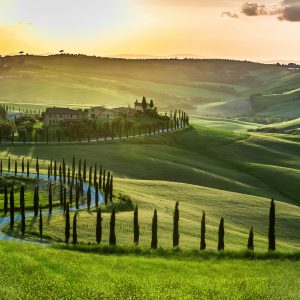Tuscany 