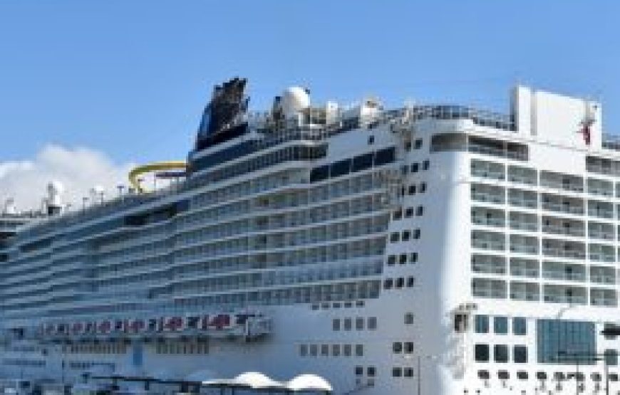 Rome: Private Precruise & Transfer (Civitavecchia port)