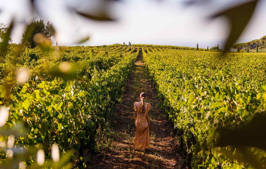 Vineyards & Vistas: Rome Countryside Wine Tasting