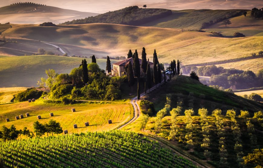 From Rome: Private Day Tour of Tuscany