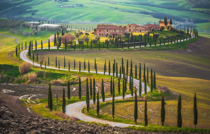 From Rome: Private Day Tour of Tuscany