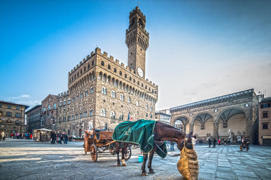 Florence : walking tour and Accademia