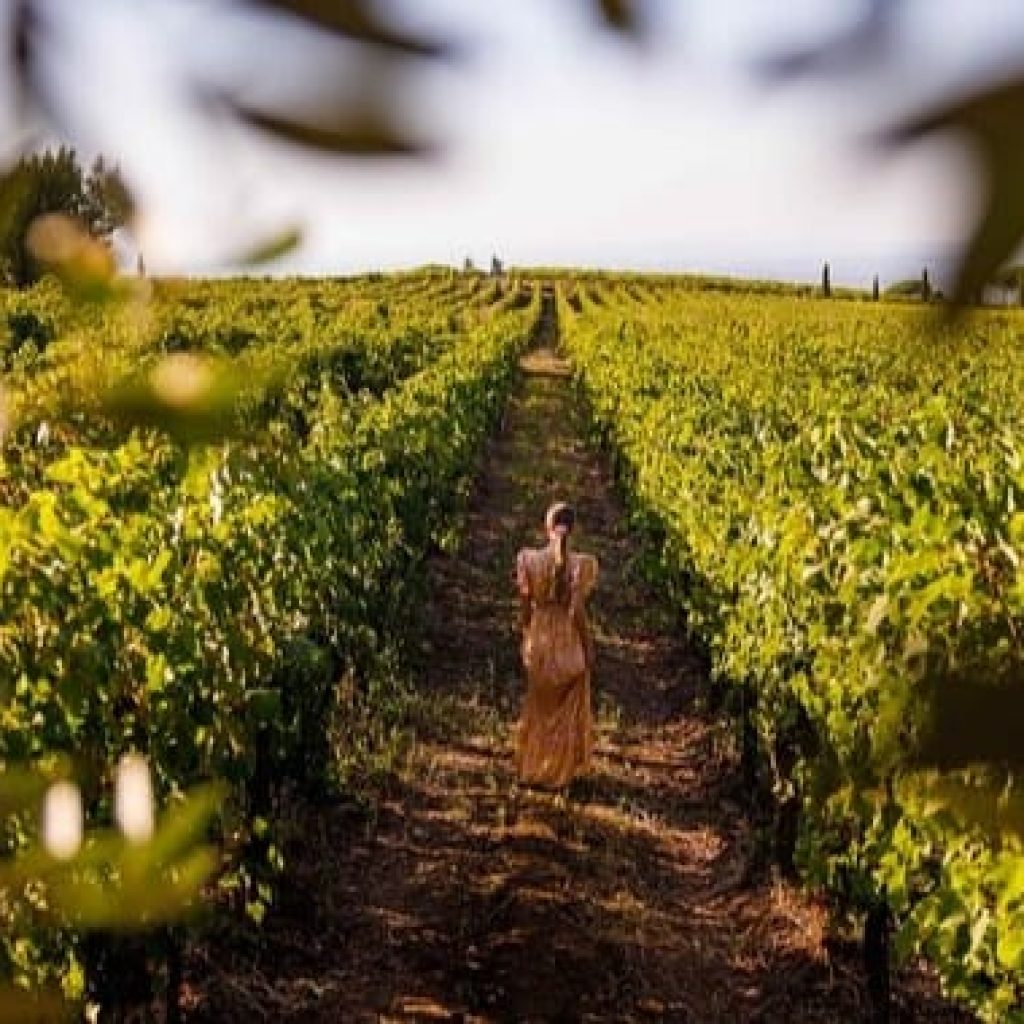 Rome Wine Tasting Tours