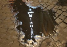 20230829230828 IMG 0445 scaled