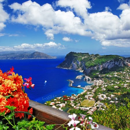 CAPRI shutterstock 182554715