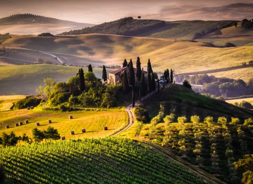 Rome to Tuscany: Private Luxury Long-Distance Transfer