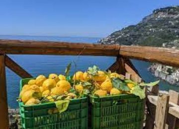 Luxury car interior for Amalfi Coast to Rome private transfer